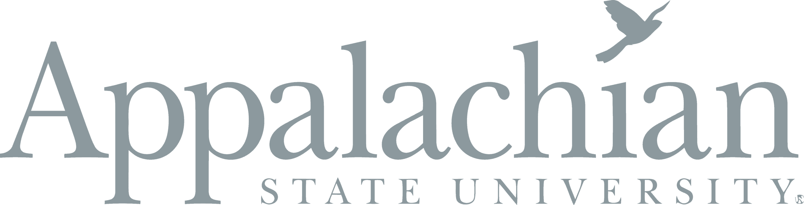 appalachian state university