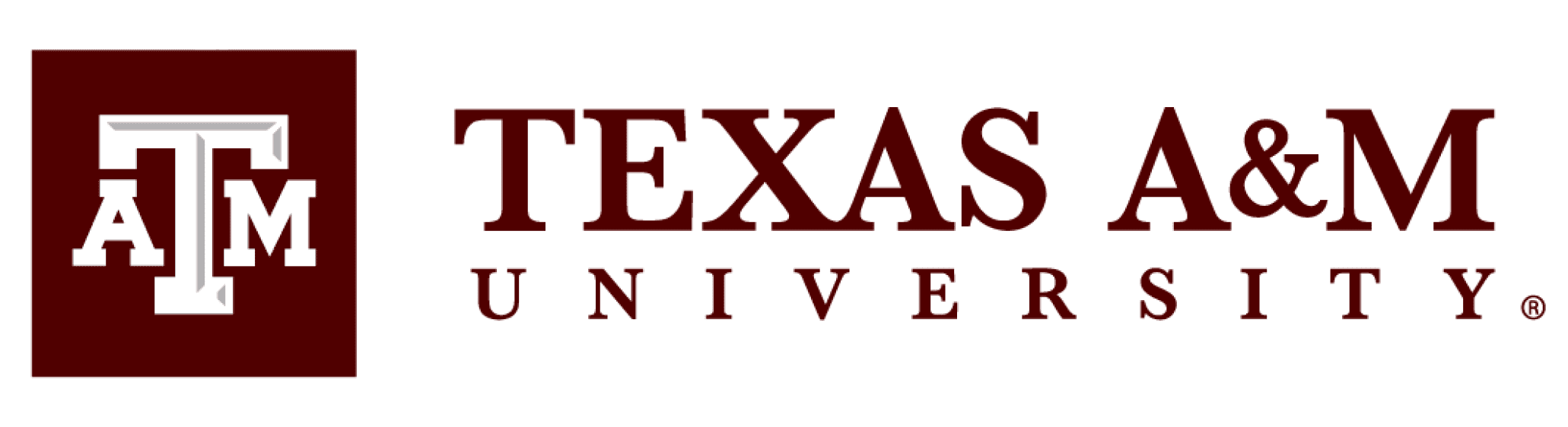 texas am